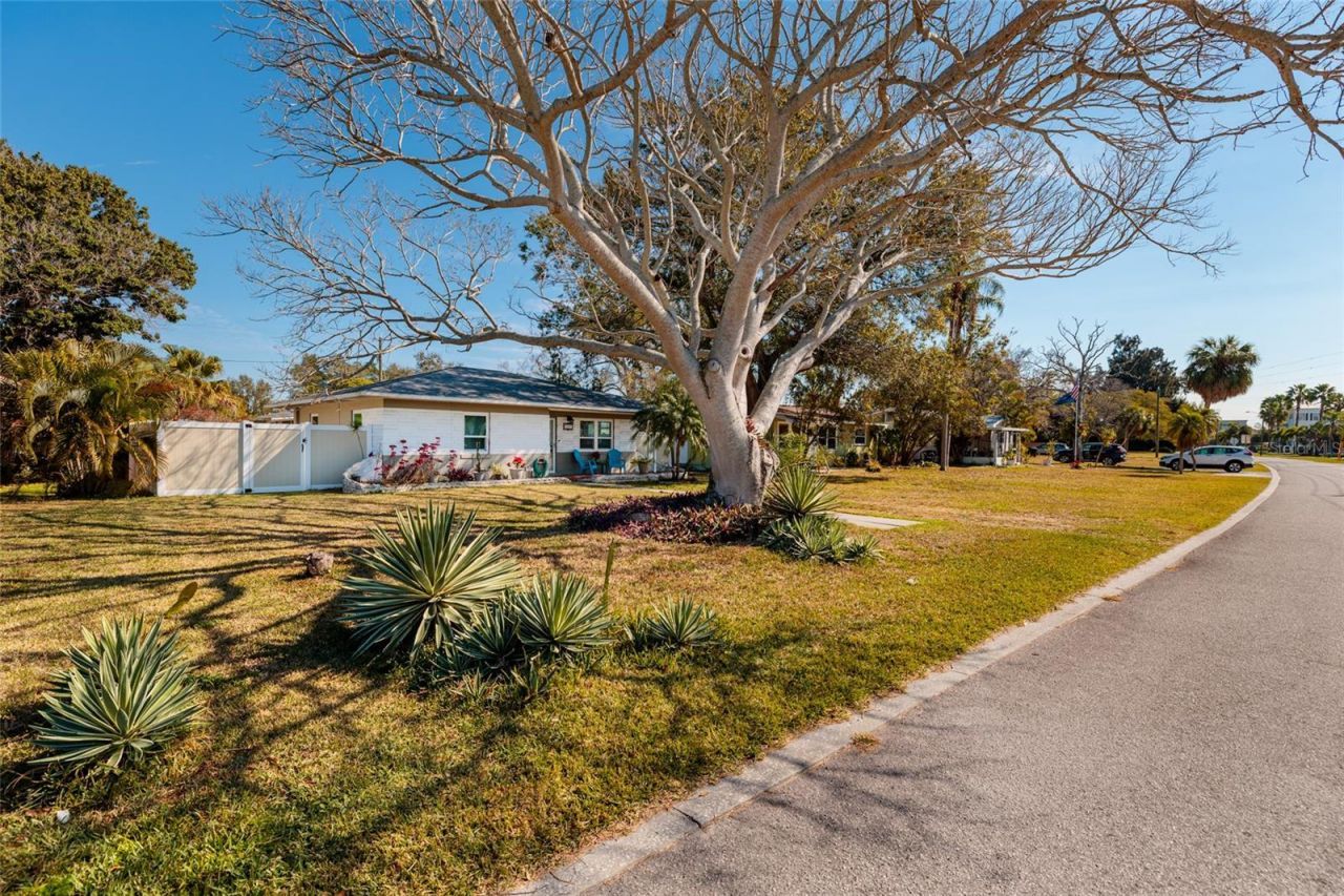 7201 Grevilla Avenue S, South Pasadena, FL 33707 Photo