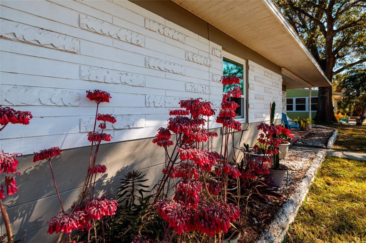 7201 Grevilla Avenue S, South Pasadena, FL 33707 Photo