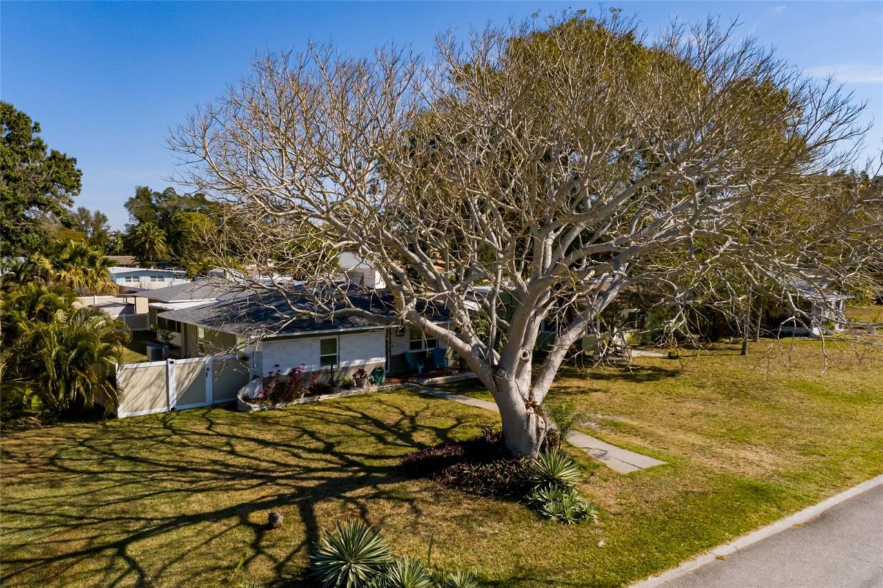 7201 Grevilla Avenue S, South Pasadena, FL 33707 Photo