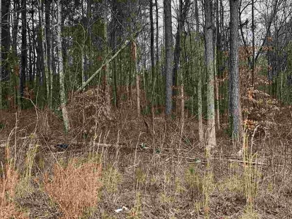 0 Green Shadow Road, Cleveland, TN 37323