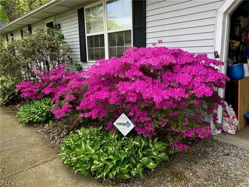 3867 Melv Street, Barberton, OH 44203 Photo 41