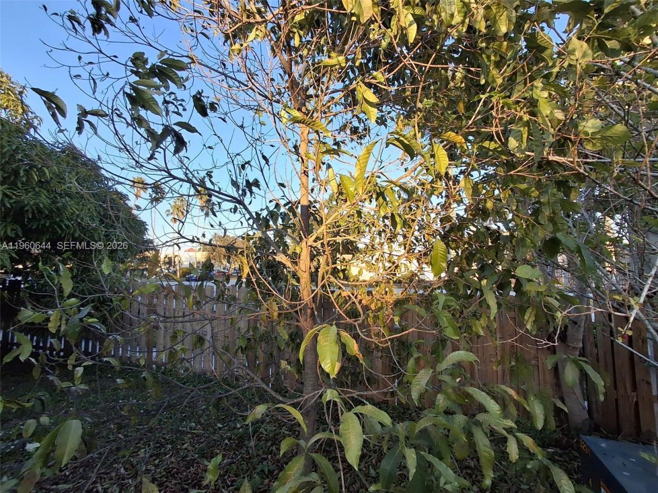 3160 NW 101st Ave, Sunrise, FL 33351 Photo