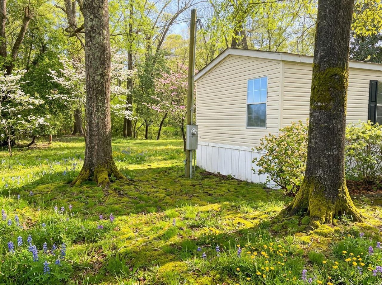 169 Gibbs Loop Photo 2