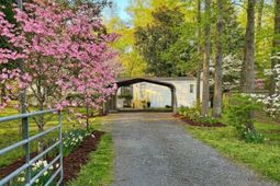 169 Gibbs Loop photo 4