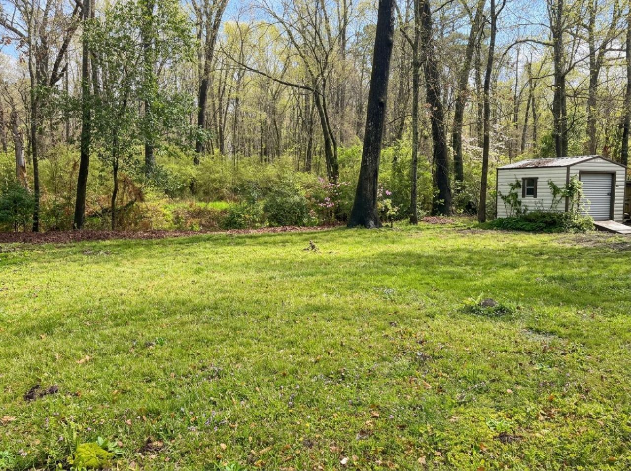 169 Gibbs Loop Photo 4