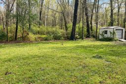 169 Gibbs Loop photo 4