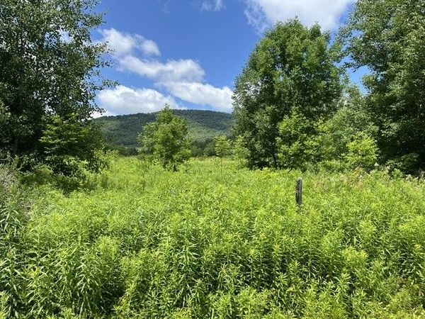 Narrow Notch Road, Hobart, NY 12167