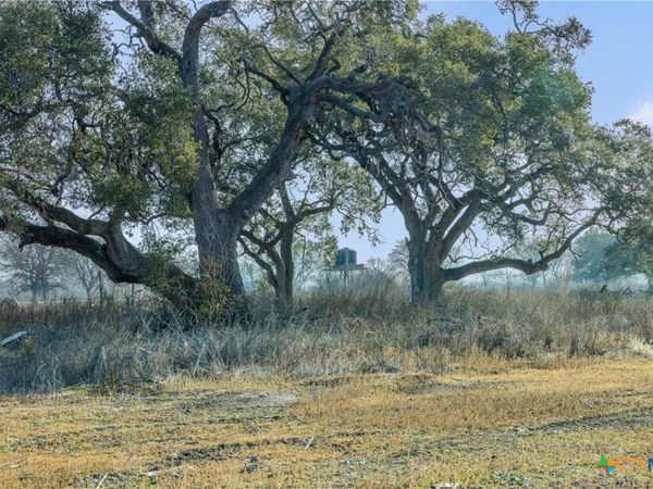 620 NW River Road , Martindale, TX 78655