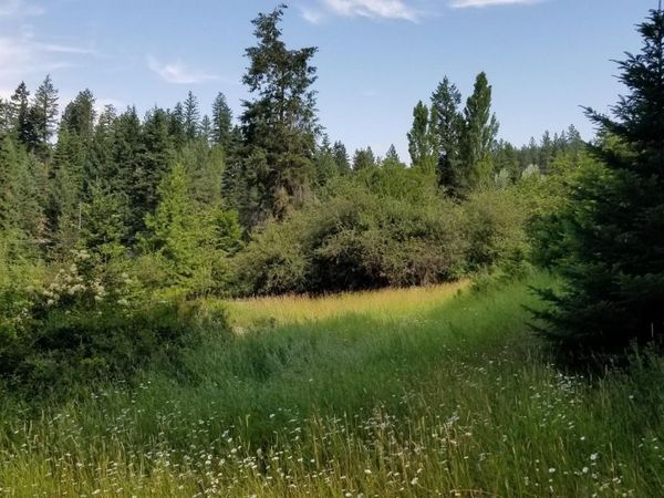 TBD Sunnyside RD, Coeur d'Alene, ID 83814