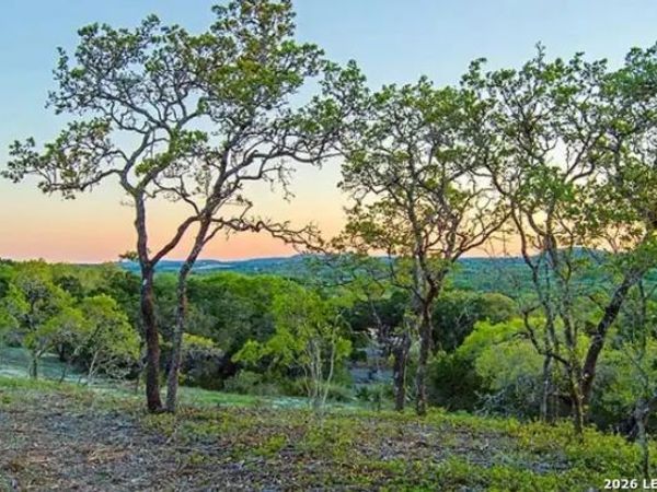 23906 Carina, San Antonio, TX 78255