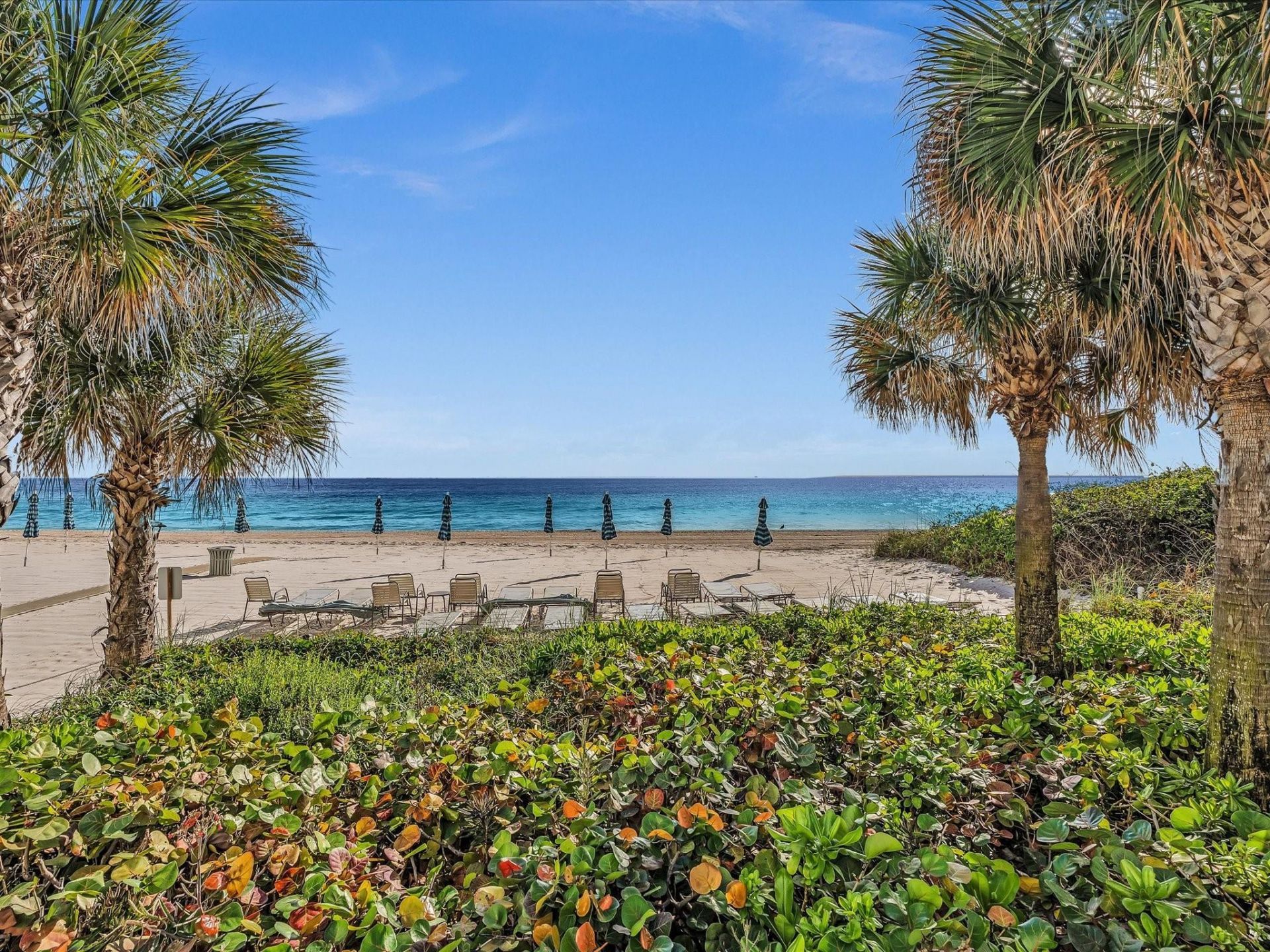 3550 Galt Ocean Drive, Unit 1501, Fort Lauderdale, FL 33308 Photo