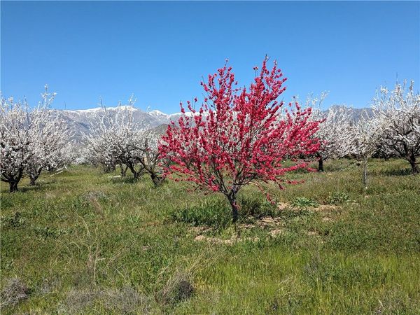 0 Pump House Road, Banning, CA 92220