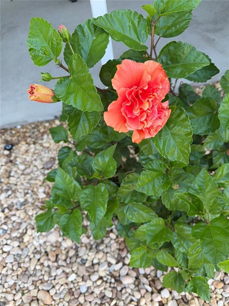 8304 Princess Court, Palmetto, FL 34221 Photo