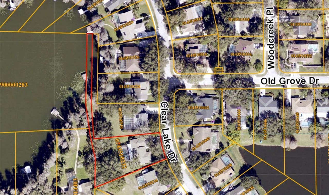 18006 Clear Lake Dr, Lutz, FL 33548 Photo