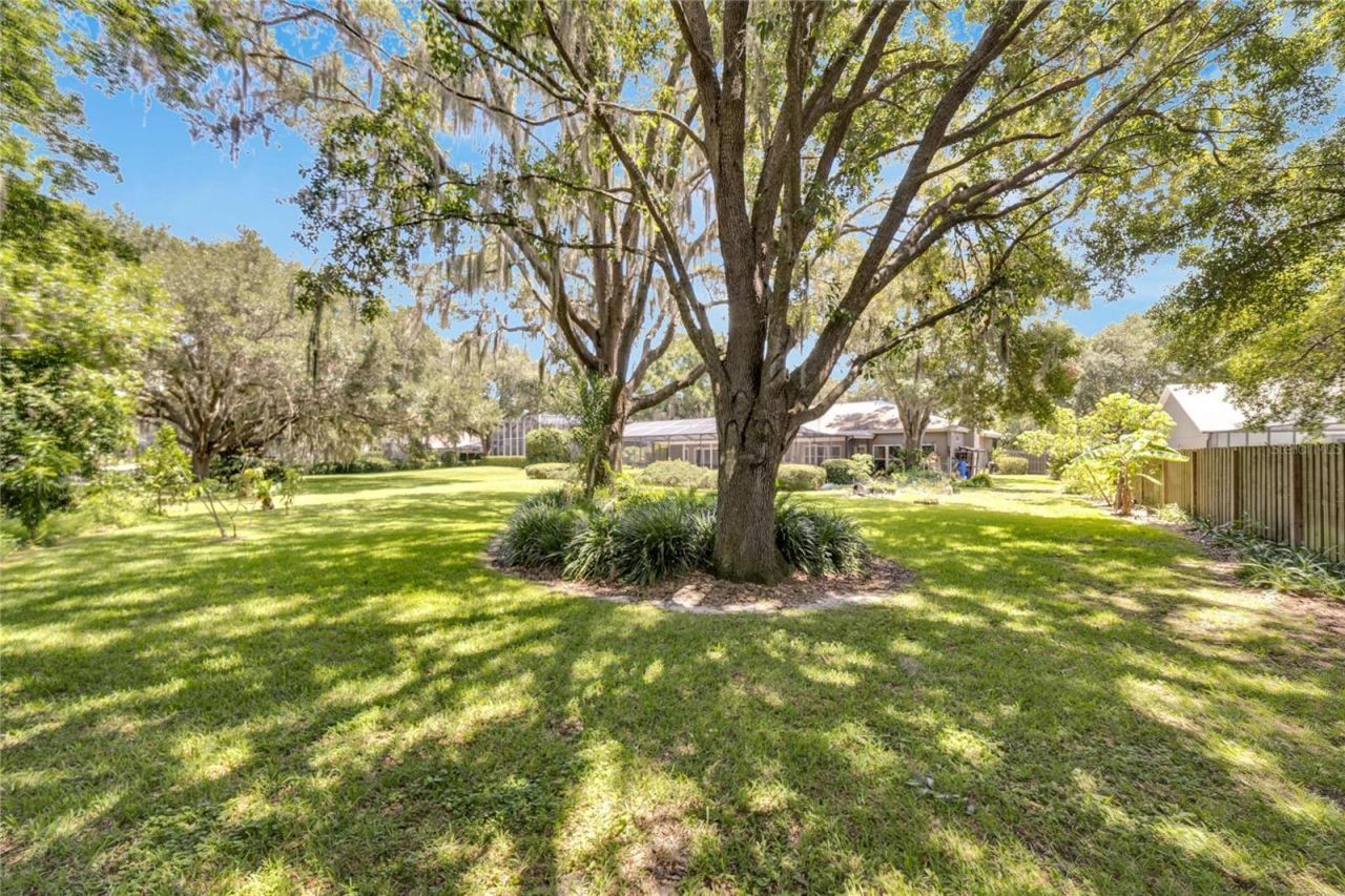 18006 Clear Lake Dr, Lutz, FL 33548 Photo