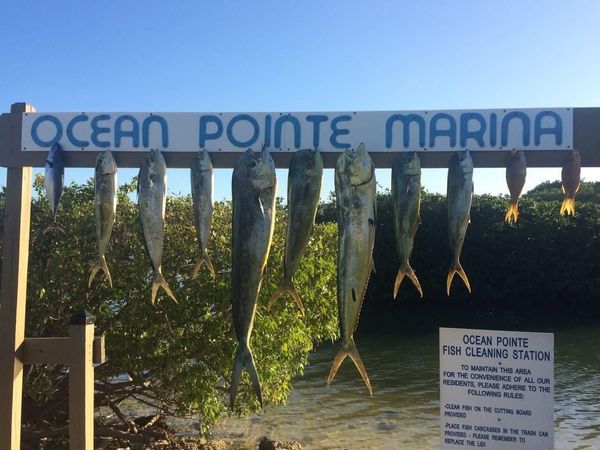 500 Burton Drive, Unit 5212, Tavernier, FL 33070