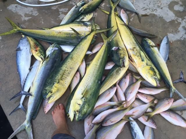 500 Burton Drive, Unit 5212, Tavernier, FL 33070 Photo