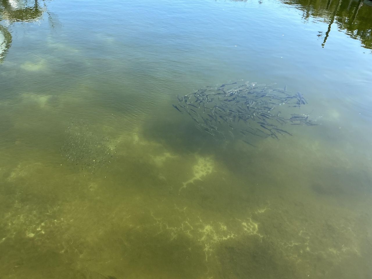 500 Burton Drive, Unit 5212, Tavernier, FL 33070 Photo