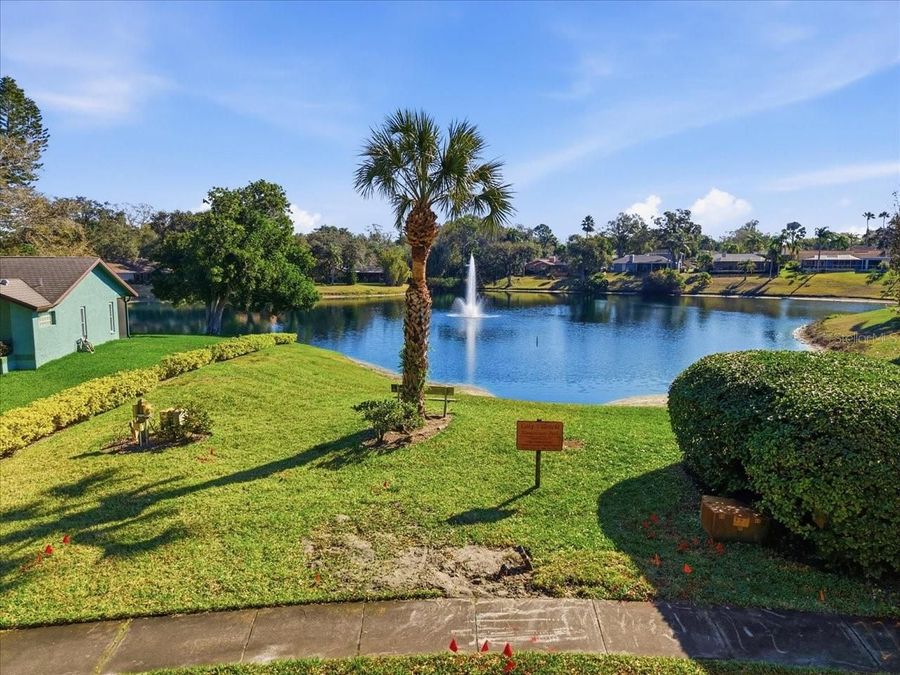 Property Image 60