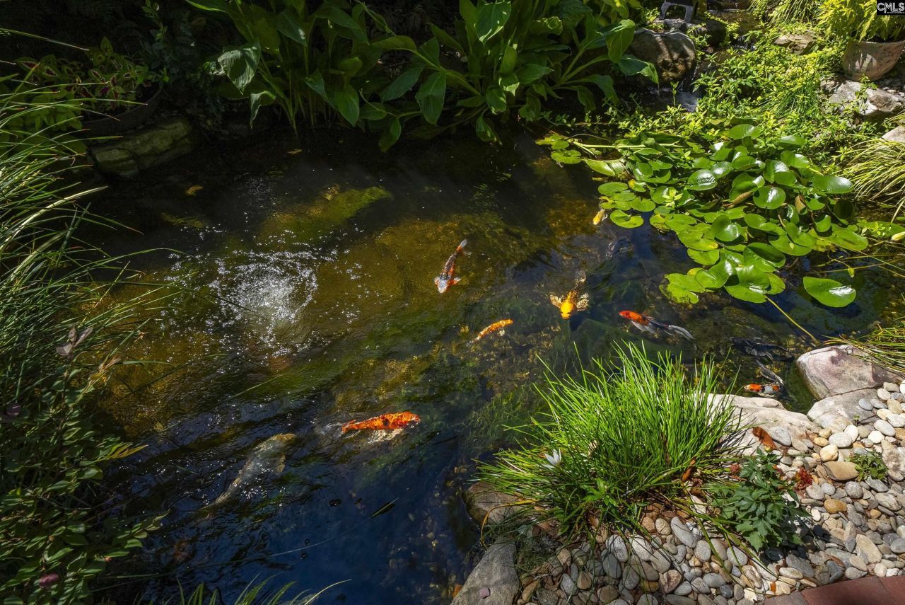 121 Saluda Avenue  Photo 84