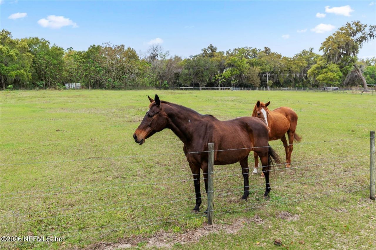 37800 Illinois Street, Lady Lake, FL 32159 Photo