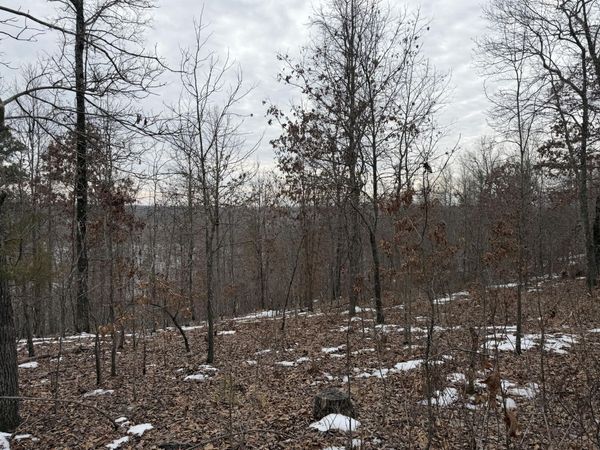 000 N Bergmann'S Hollow Lane N, Eminence, MO 65466