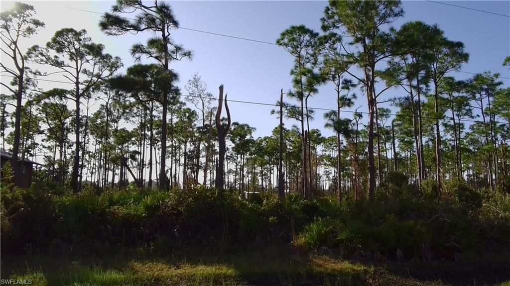 7085 Kreamers Dr, Bokeelia, FL 33922 Photo