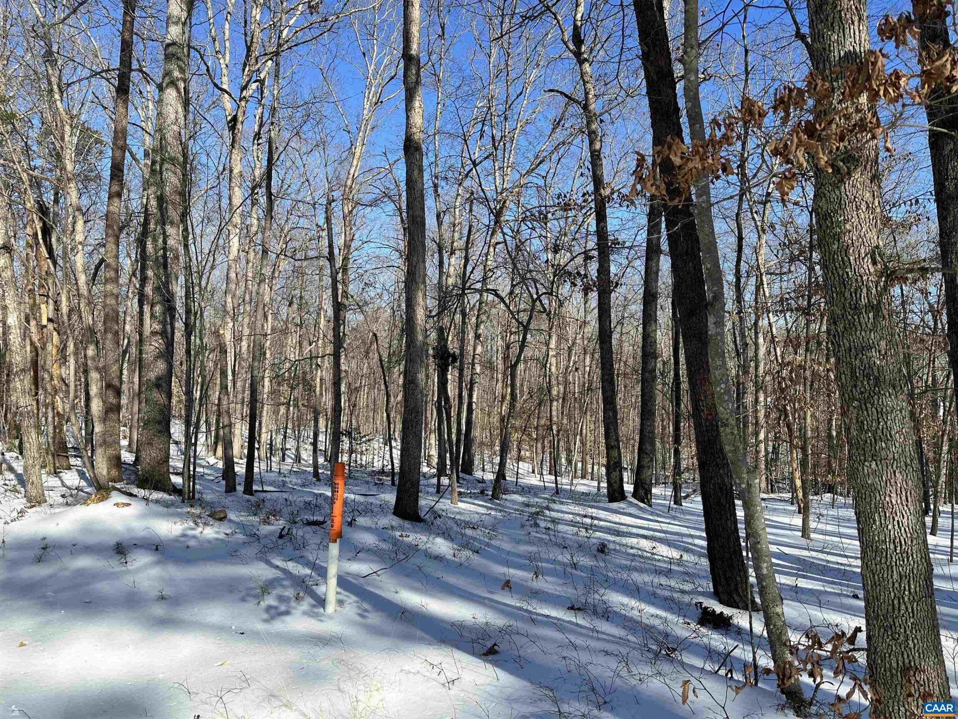 02 Beaverdam Rd, Keswick, VA 22947 Main Photo