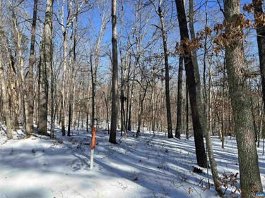 02 BEAVERDAM RD, Keswick, VA 22947