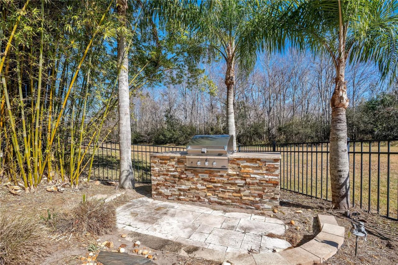 10420 Wittenberg Way, Orlando, FL 32832 Photo