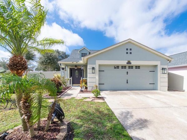 13102 CARROLLWOOD CREEK DRIVE, TAMPA, FL 33624