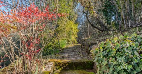 10640 Fleehart, Amador City, CA 95601 Photo