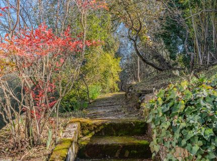 10640 Fleehart, Amador City, CA 95601 Photo