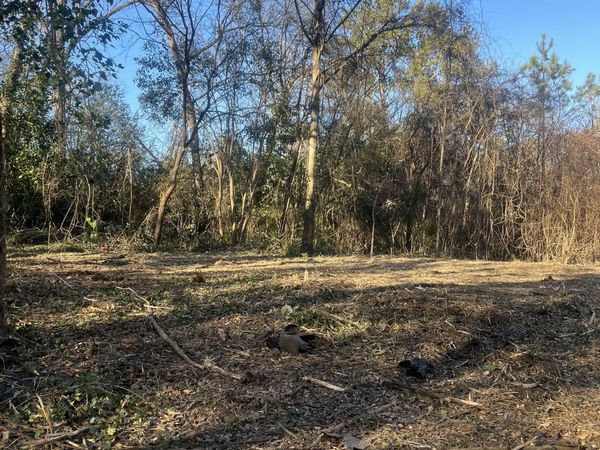 0 old griffin Road, Mcdonough, GA 30253