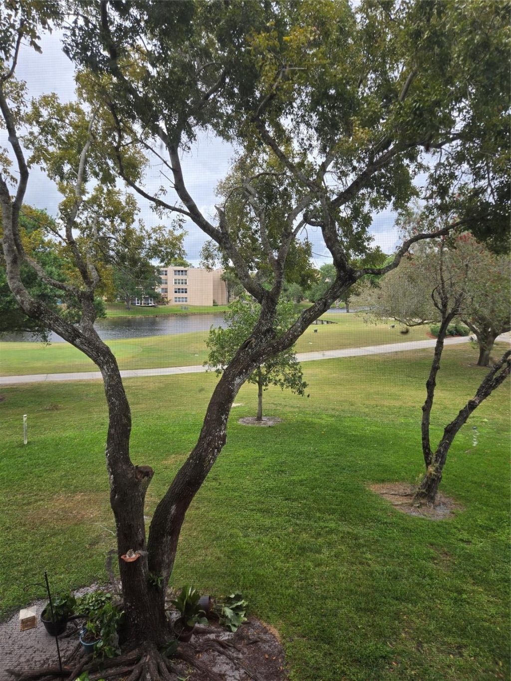 9531 Seagrape Drive, Unit 205, Davie, FL 33324 Photo