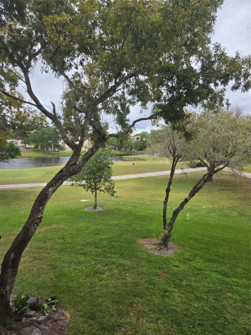 9531 Seagrape Drive, Unit 205, Davie, FL 33324 Photo