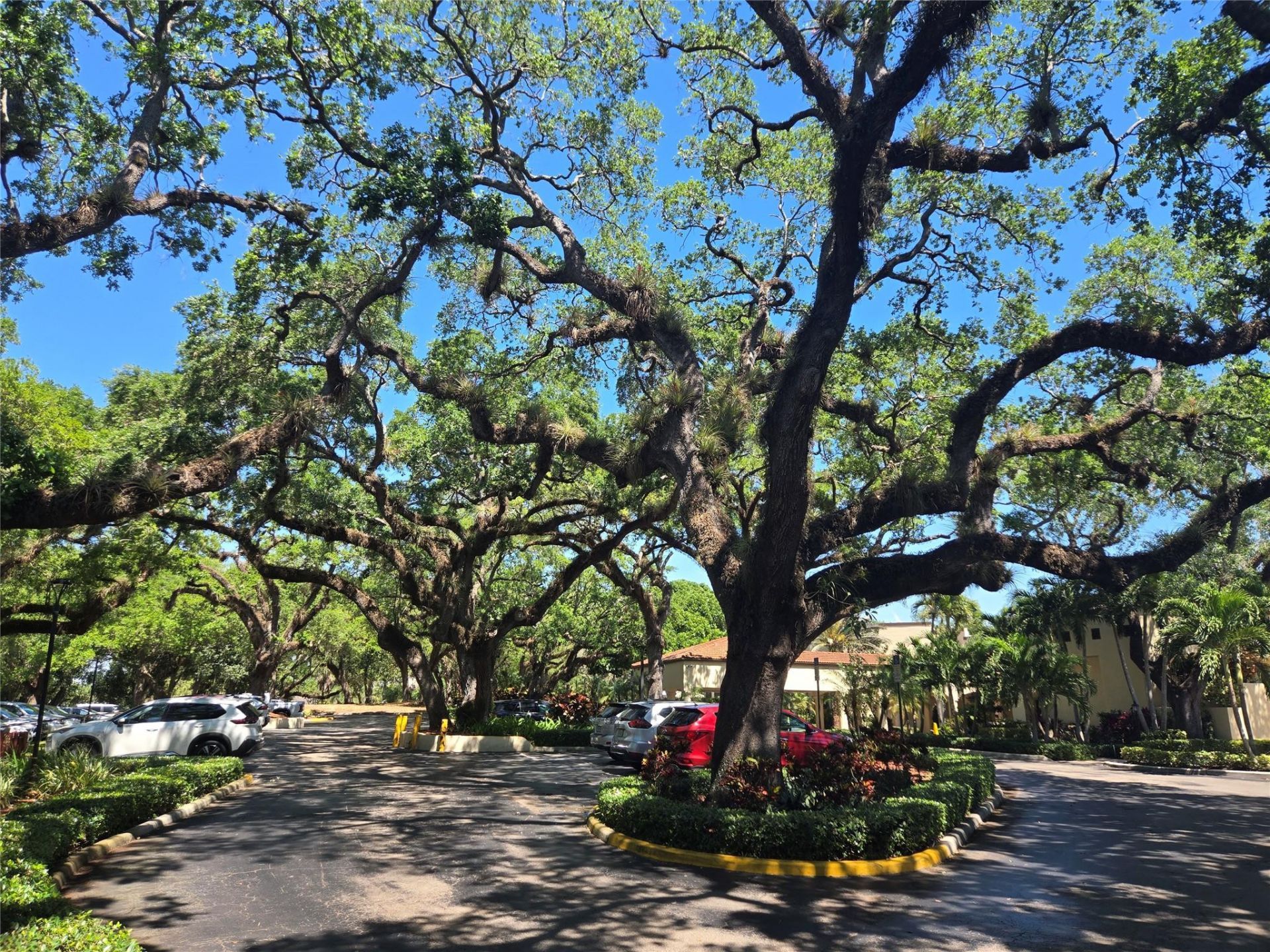 9531 Seagrape Drive, Unit 205, Davie, FL 33324 Photo