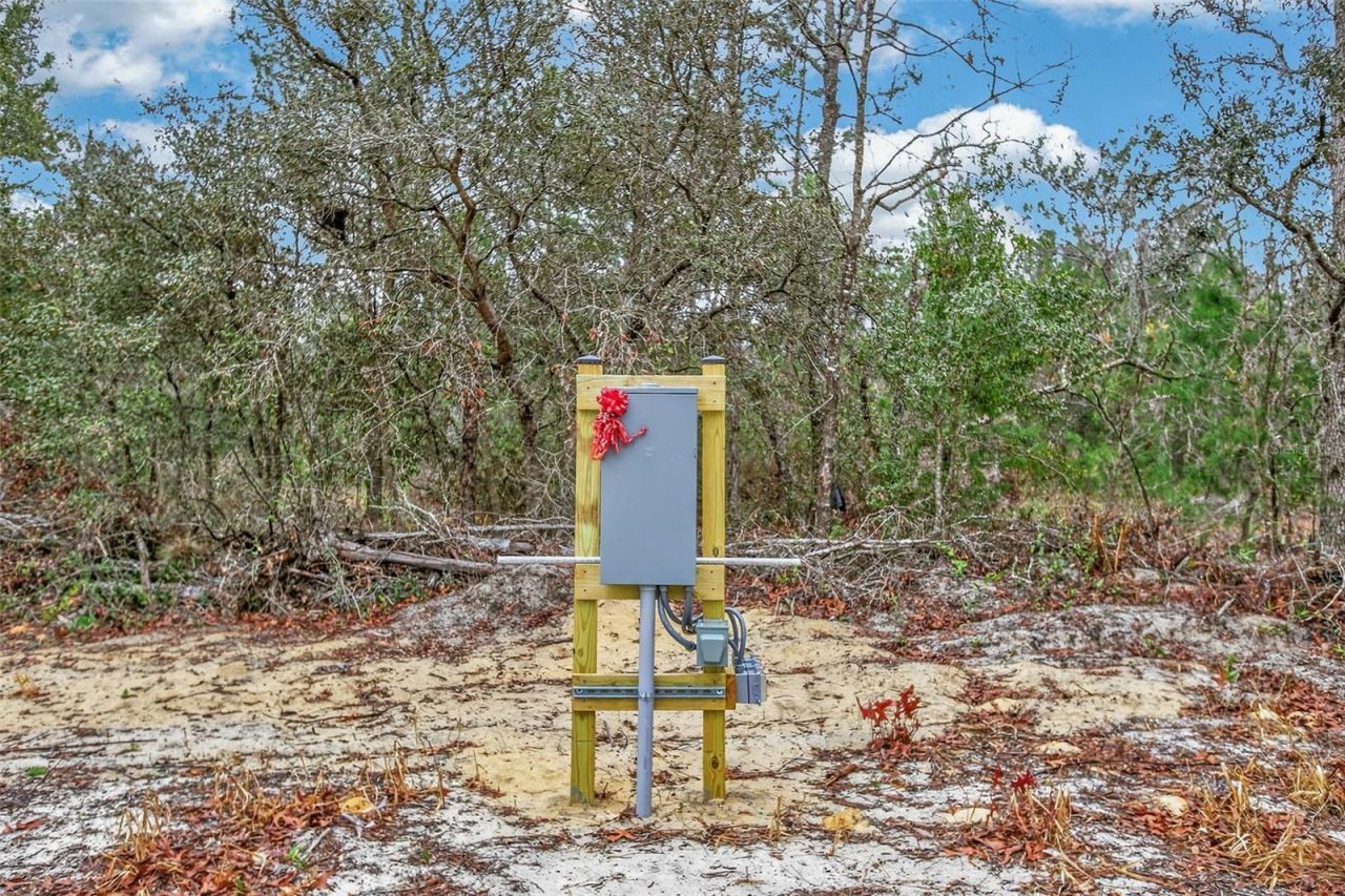 419 Lily Trail, Interlachen, FL 32148 Photo