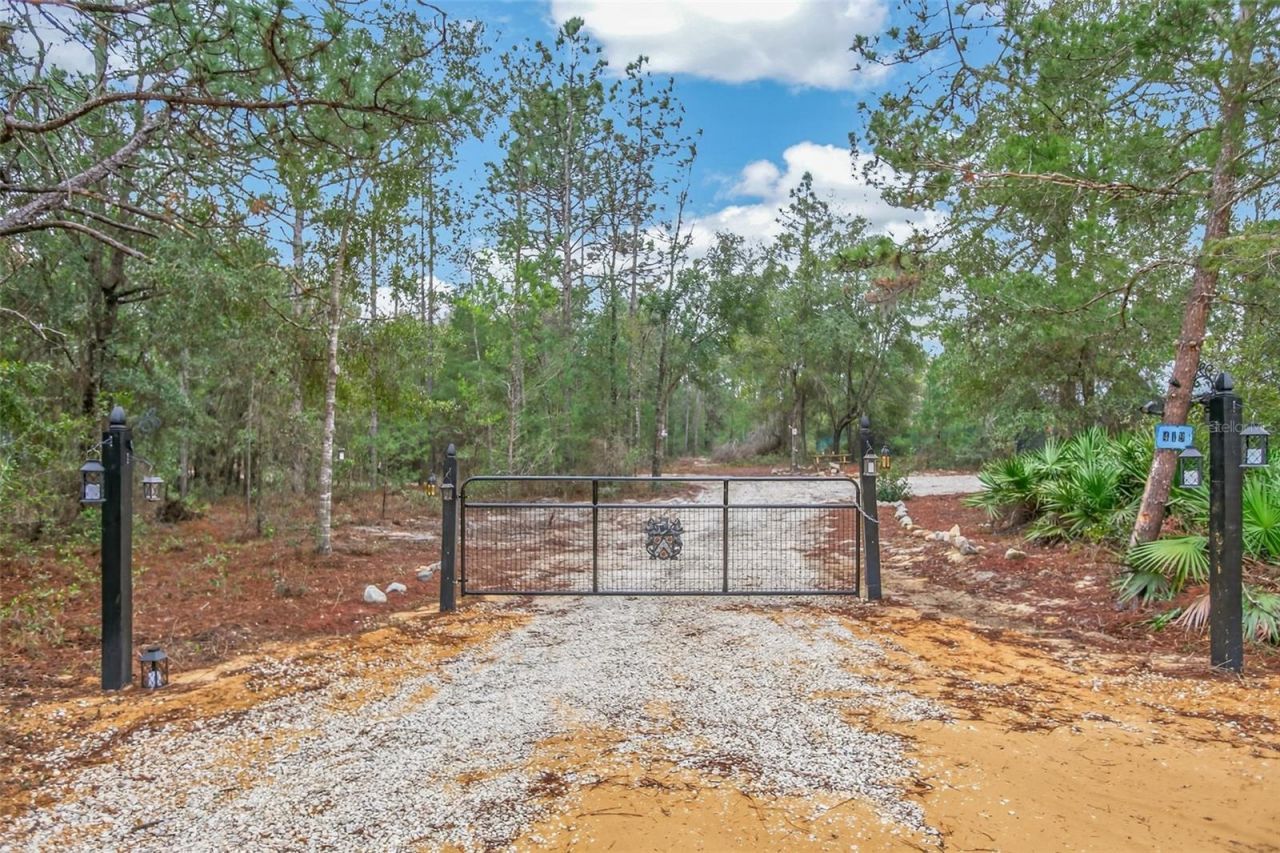 419 Lily Trail, Interlachen, FL 32148 Photo