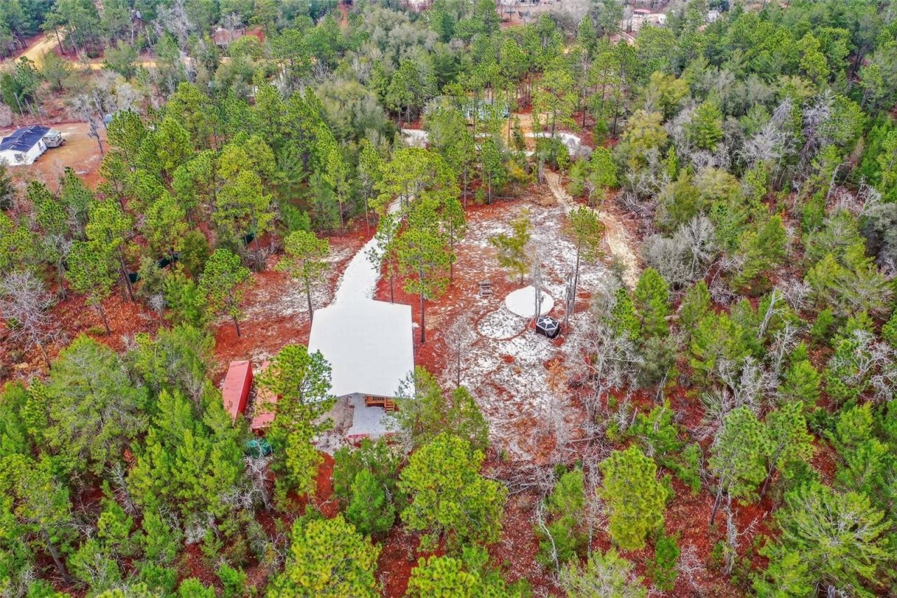 419 Lily Trail, Interlachen, FL 32148 Photo