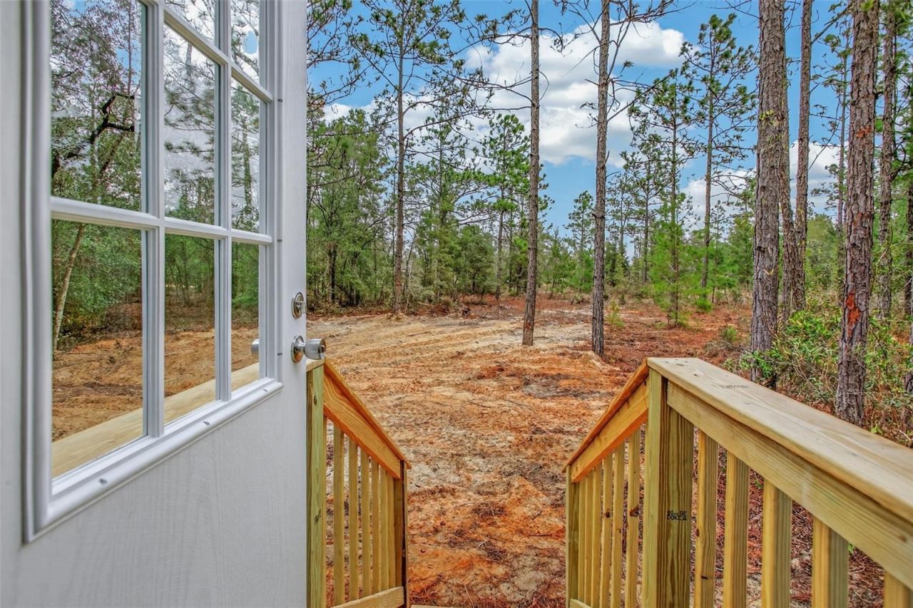 419 Lily Trail, Interlachen, FL 32148 Photo