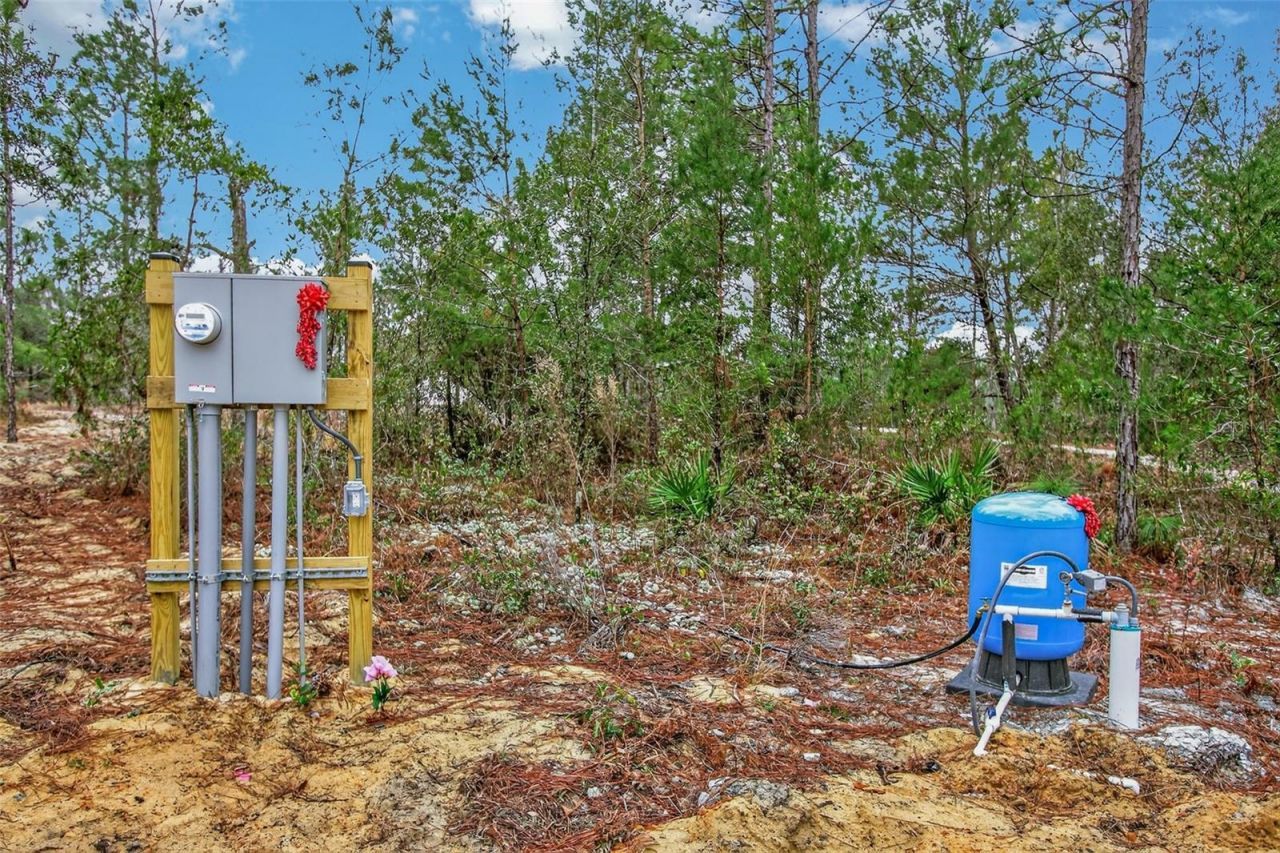 419 Lily Trail, Interlachen, FL 32148 Photo