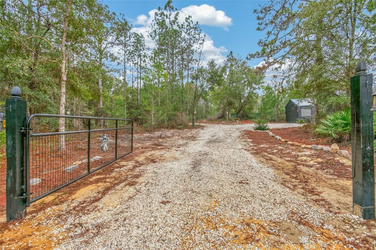 419 Lily Trail, Interlachen, FL 32148 Photo