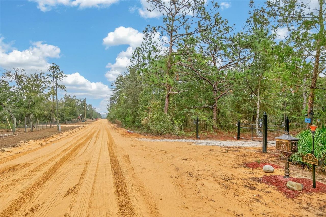 419 Lily Trail, Interlachen, FL 32148 Photo