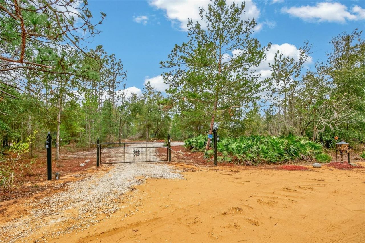 419 Lily Trail, Interlachen, FL 32148 Photo