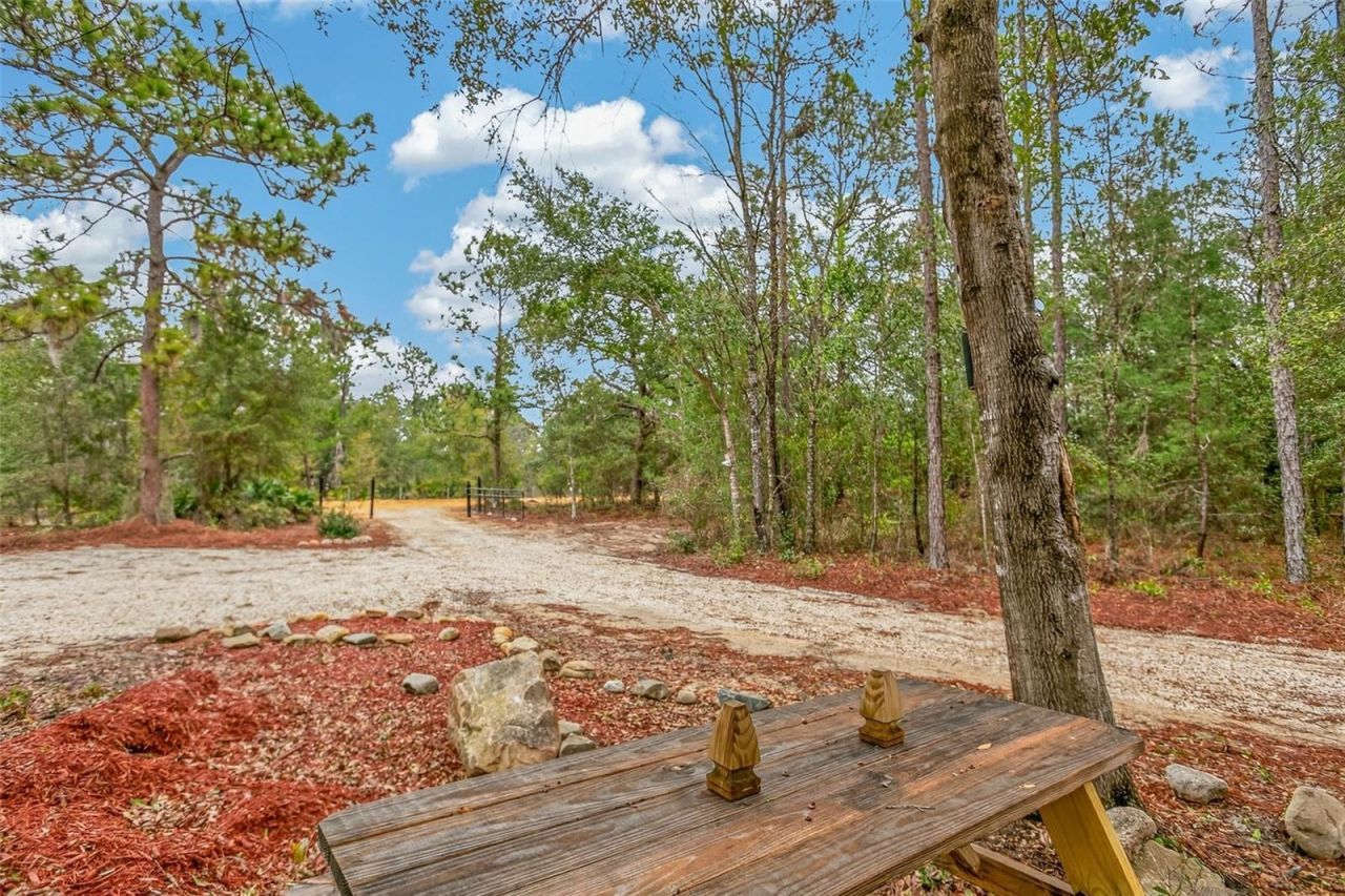 419 Lily Trail, Interlachen, FL 32148 Photo