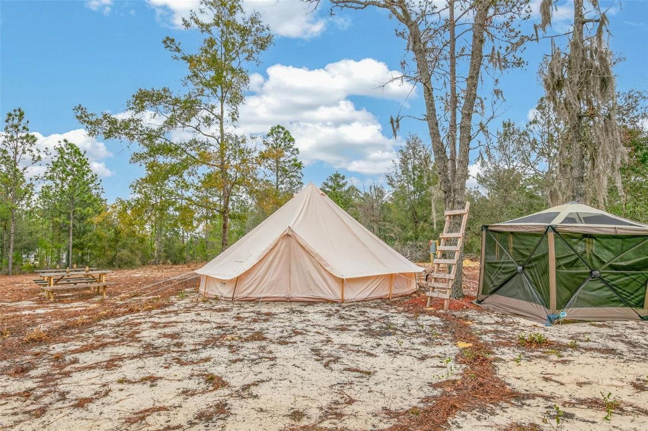 419 Lily Trail, Interlachen, FL 32148 Photo