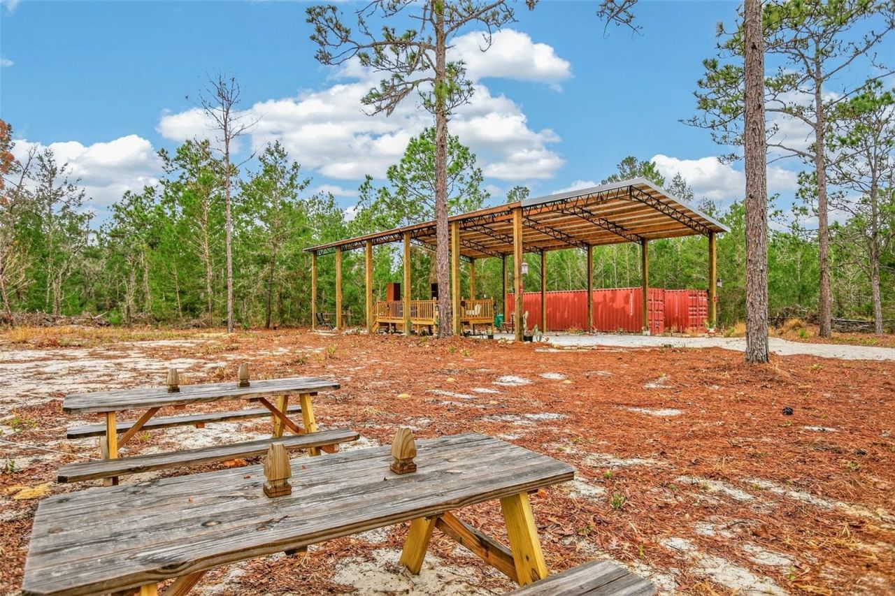 419 Lily Trail, Interlachen, FL 32148 Photo