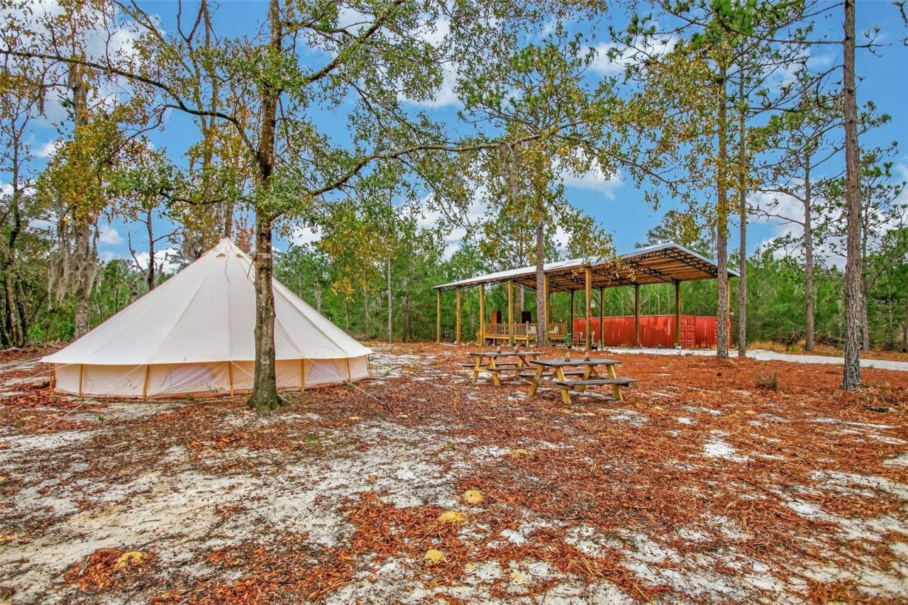 419 Lily Trail, Interlachen, FL 32148 Photo