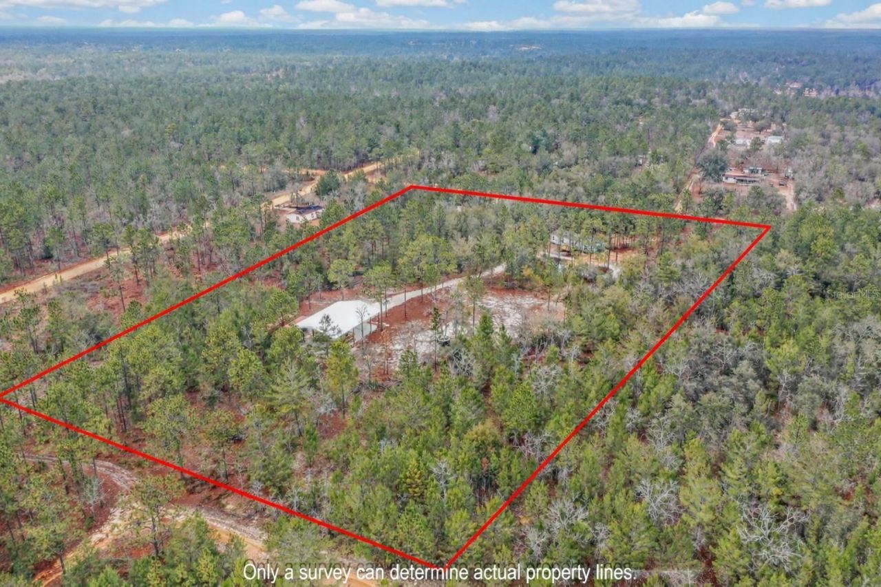 419 Lily Trail, Interlachen, FL 32148 Photo